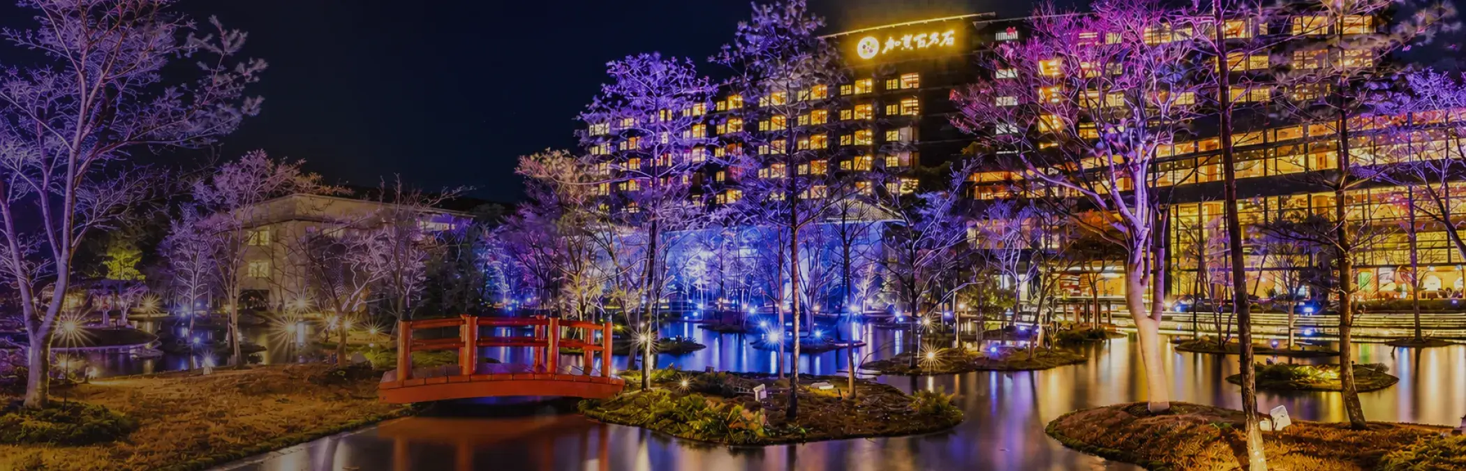 紫や青のライトアップに彩られた幻想的な夜の日本庭園と、客室の光が輝くホテル棟