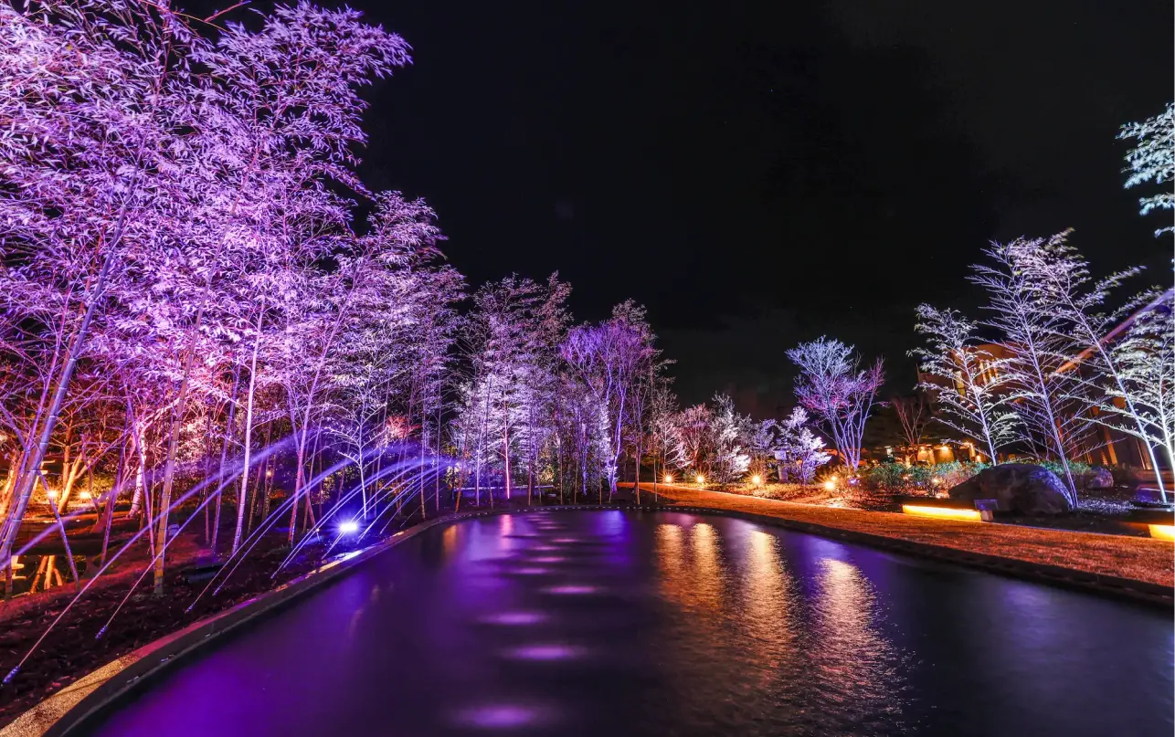 ライトアップされた庭園と水景が幻想的に広がる夜の景観