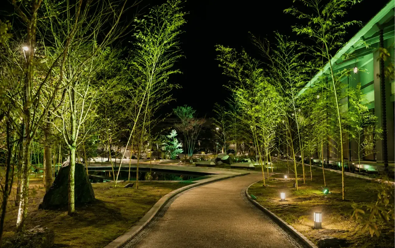 木々のライトアップがきらめく幻想的な庭園の夜景