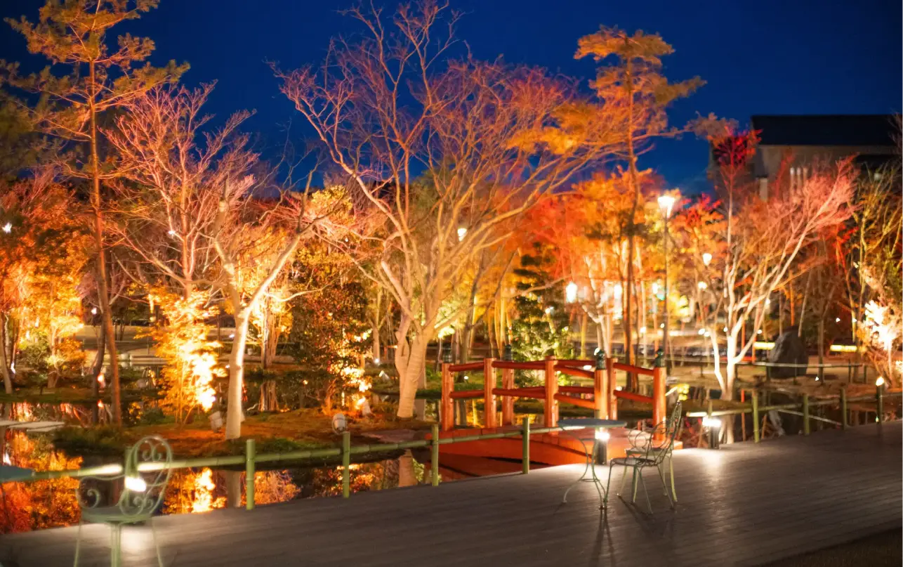 紅葉が照らされ水面に映り込む美しい庭園の夜景