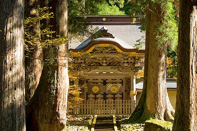 木々に囲まれた神秘的な雰囲気の永平寺