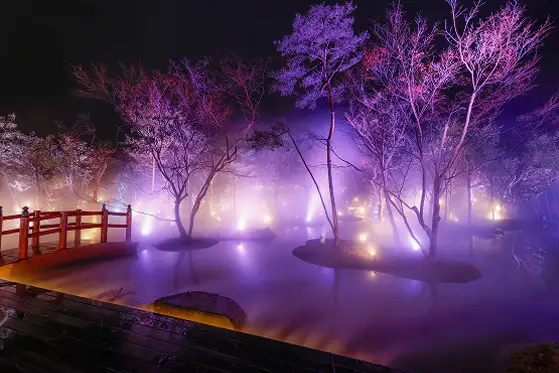 ライトアップされ霧が漂う夜の日本庭園の幻想的な雲海の演出