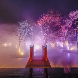 ライトアップされた夜の庭園。紫やピンクの光に包まれた木々と、水面に霧が立ち込める幻想的な景色。