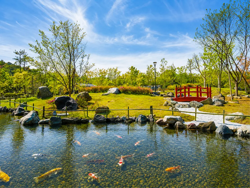 青空と新緑に囲まれた美しい日本庭園。手前の澄んだ池には色鮮やかな錦鯉が泳いでいる。