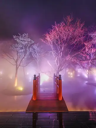 紫やピンクの光と霧に包まれた夜の幻想的な日本庭園と木造の橋