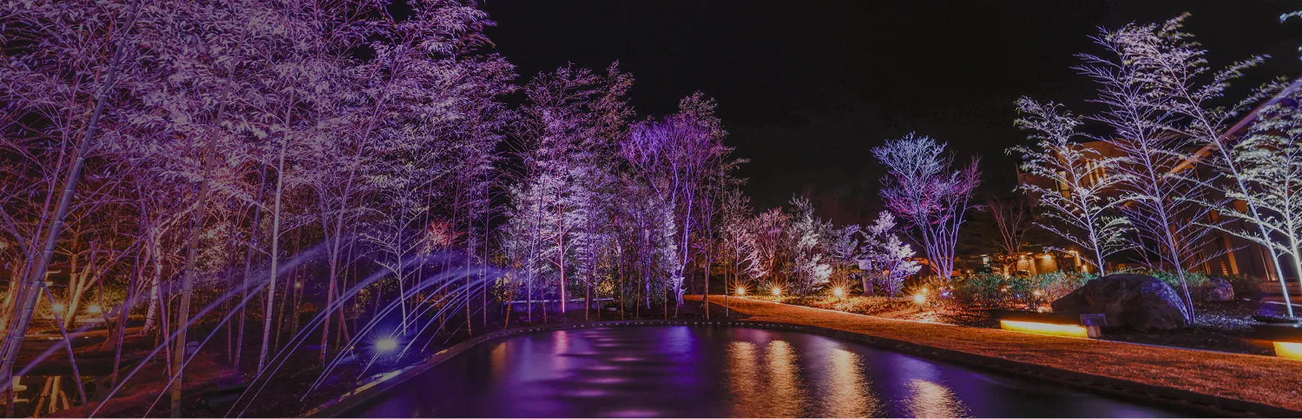 夜の日本庭園。紫や白の光でライトアップされた木々と、水面に光が反射する池、弧を描く噴水のライトアップ。