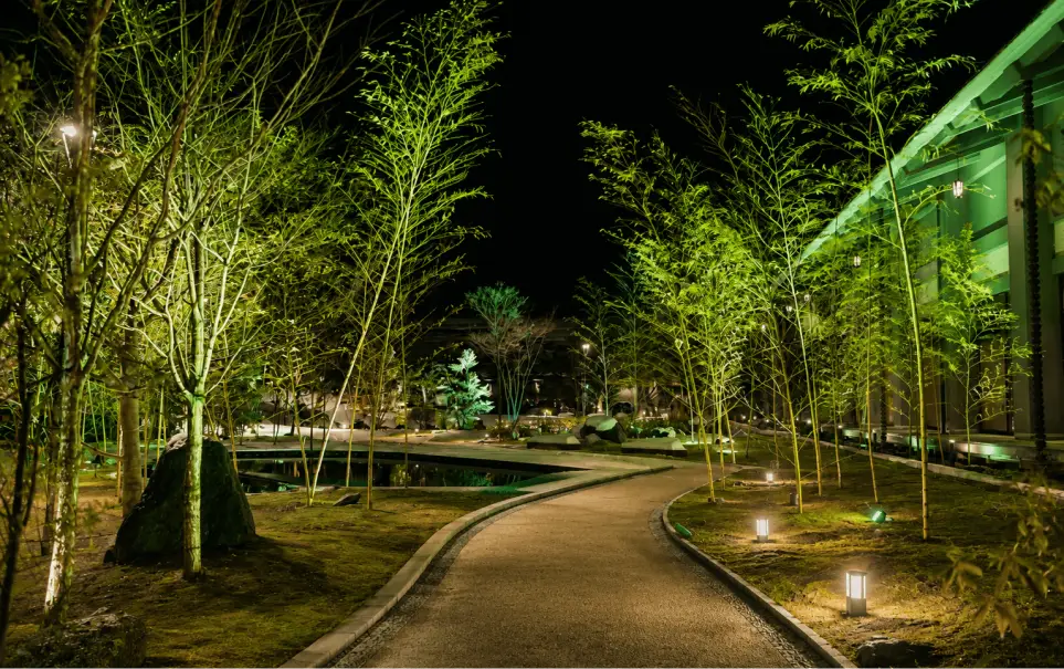 上空から見下ろした美しい水面と鮮やかに色づく秋の紅葉風景