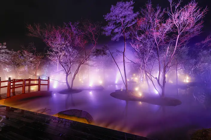 ライトアップされた夜の庭園。紫や青、白の光に照らされた細身の木々が夜空に浮かび上がり、地面には温かみのあるオレンジ色のフットライトが並んでいます。光と影が織りなす、静かで幻想的な散策路の風景です。