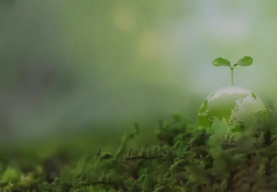 芽の出た地球儀と和の情緒を感じる苔のイメージ